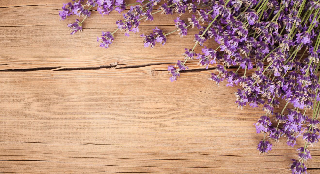 Five Flowers to Make Your Home Smell Amazing - Lavender