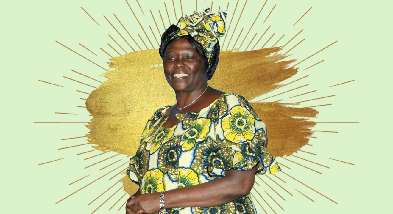 Entity loves Women That Did Wangari Maathai because of her environmental activism.