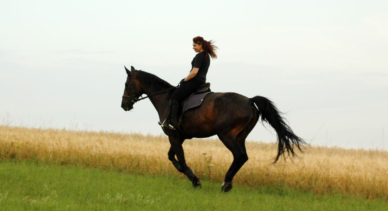 Entity shares benefits of horseback riding.