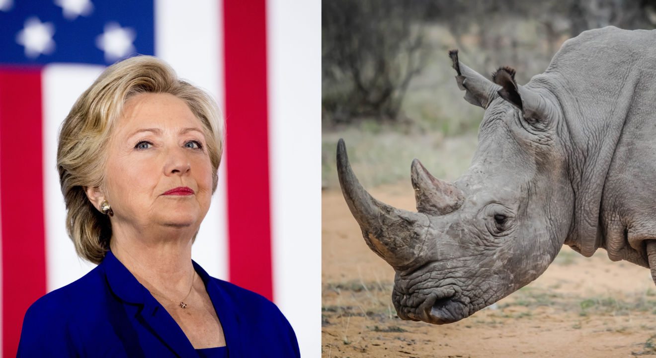 Entity reports on why Hillary Clinton has thicker skin than a rhino.