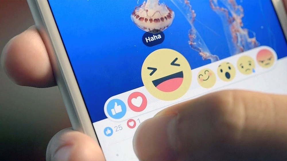 Entity discusses Facebook dislike button