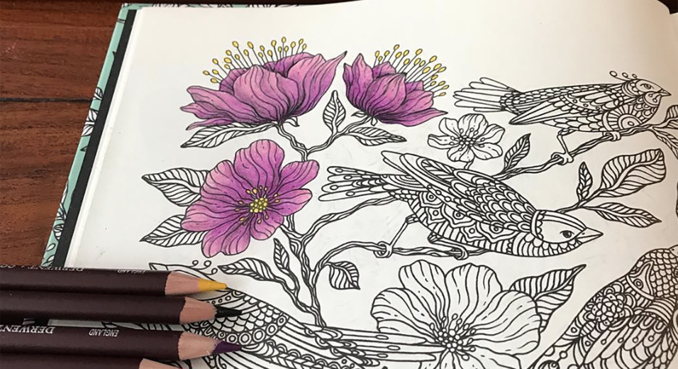 Entity talks adult coloring pages