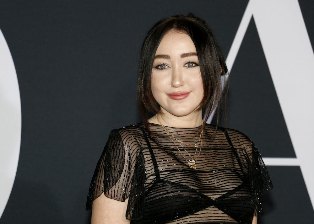 Entity shares facts about Noah Cyrus.