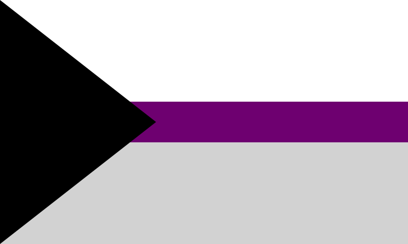 ENTITY explains the difference between the demisexual flag and asexual flag.
