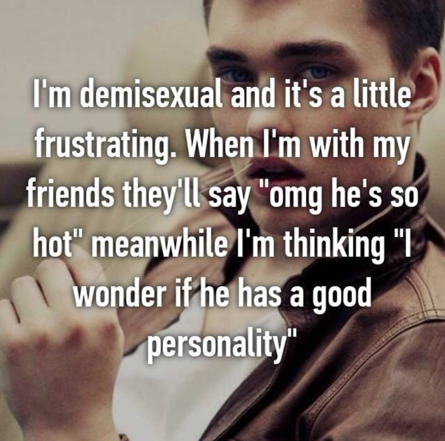 Panromantic Demisexual Now What Does This Term Mean