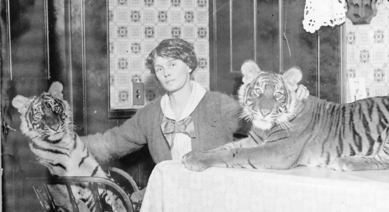ENTITY highlights the outstanding Mabel Stark, the first female tiger trainer.