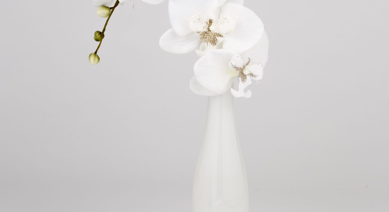 Five Flowers to Make Your Home Smell Amazing - Orchid