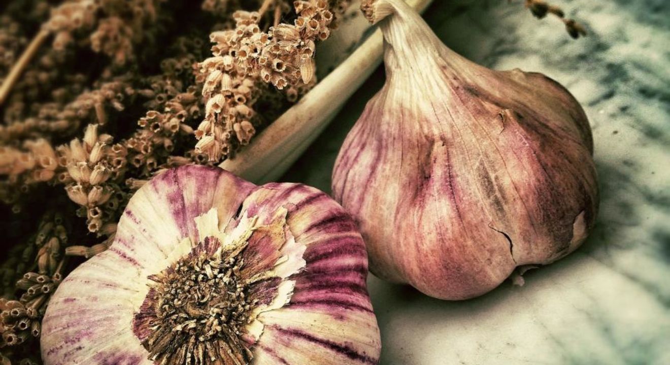 Entity loves garlic for its many health benefits.