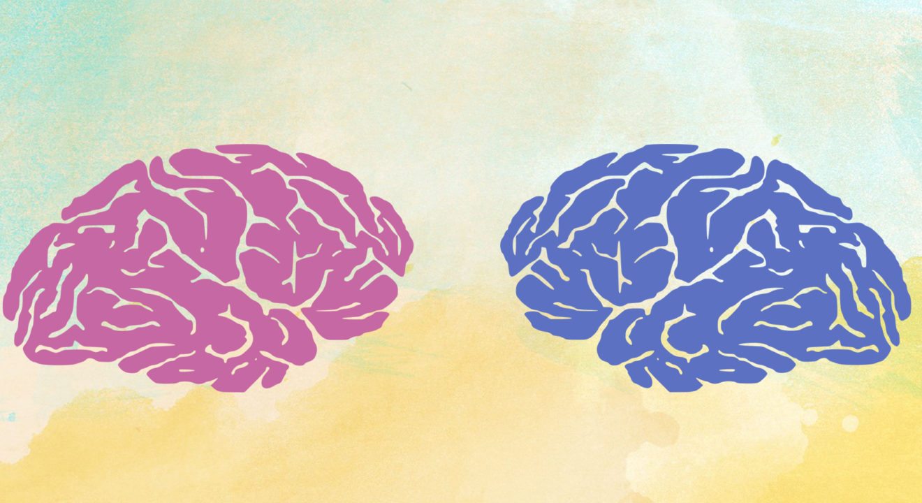 Entity reports on whether male and female brains are really that different.