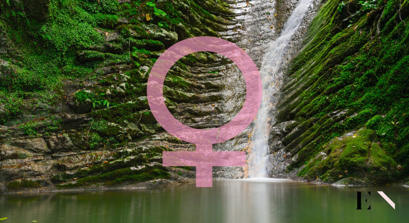 explanation-of-the-ecofeminism-movement-and-ideology