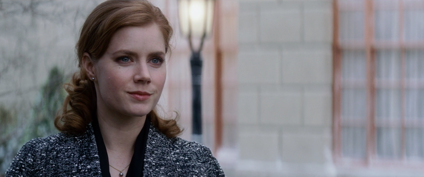 amy-adams-leap-year-entity.png