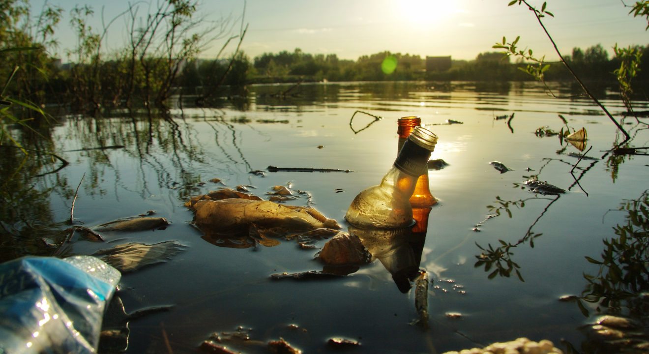 the-effects-of-water-pollution