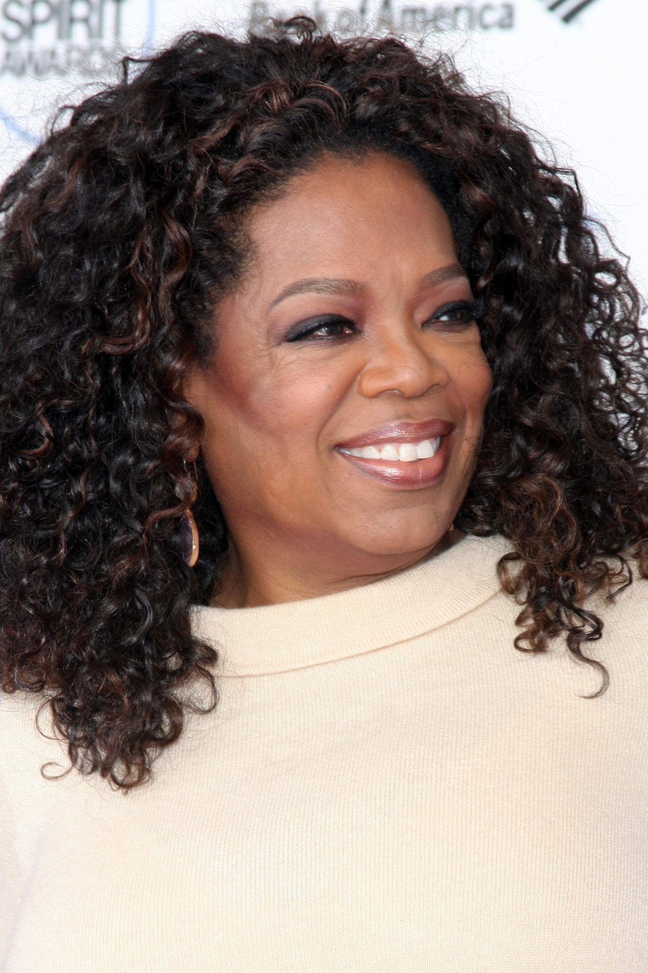 Would Oprah make a good candidate?