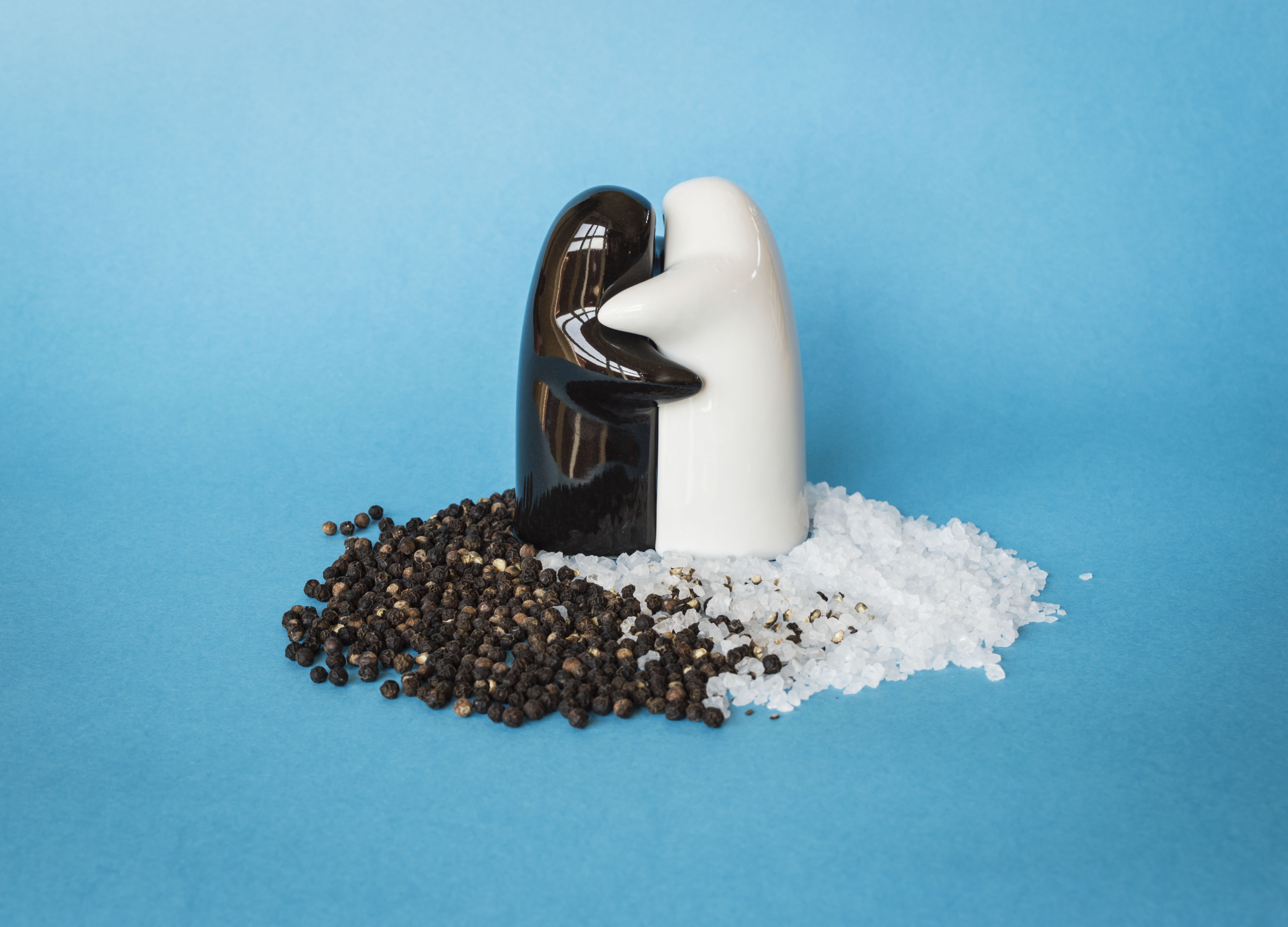 unique salt and pepper shakers