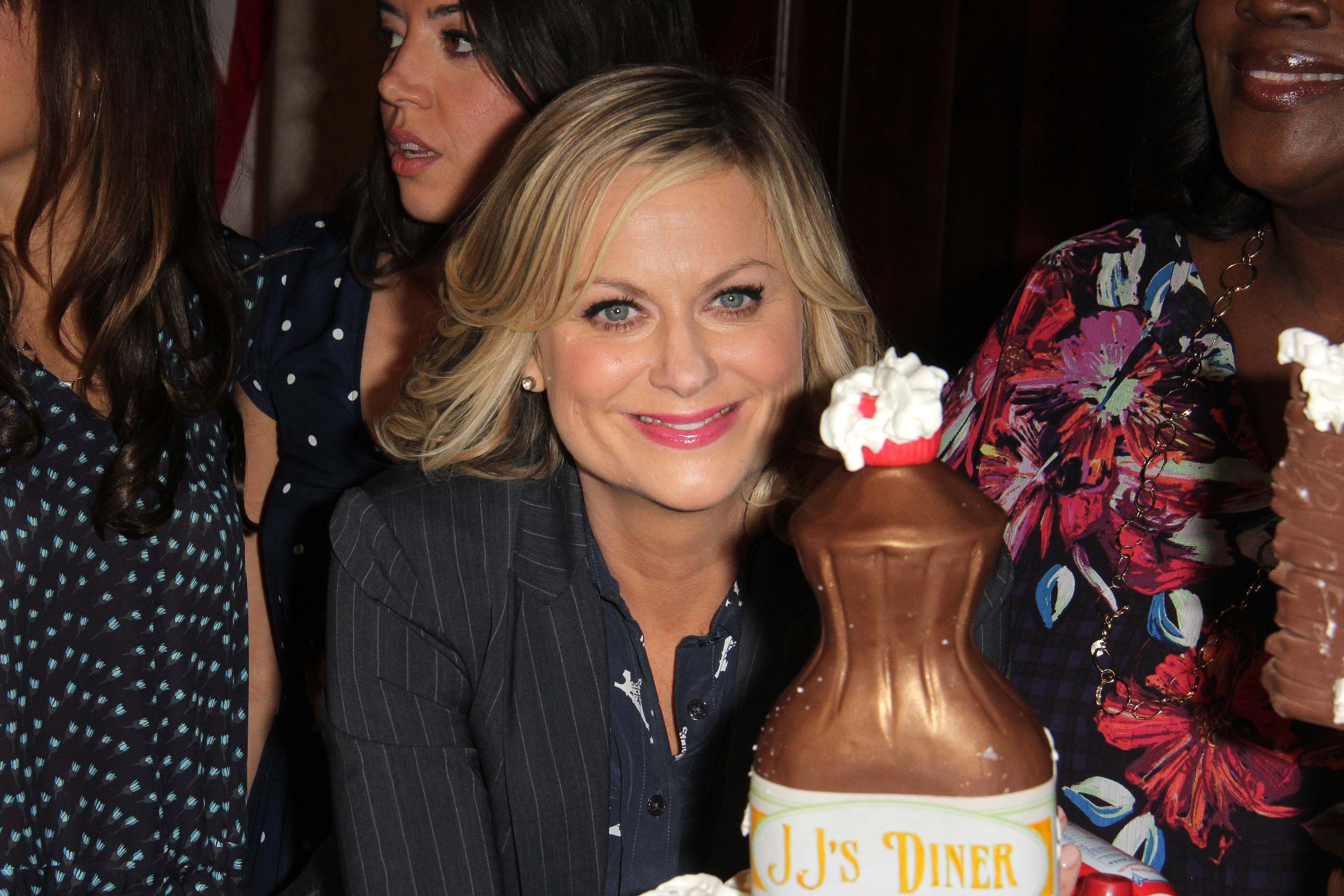 3 Reasons Its Easy To Love Feminist Amy Poehler