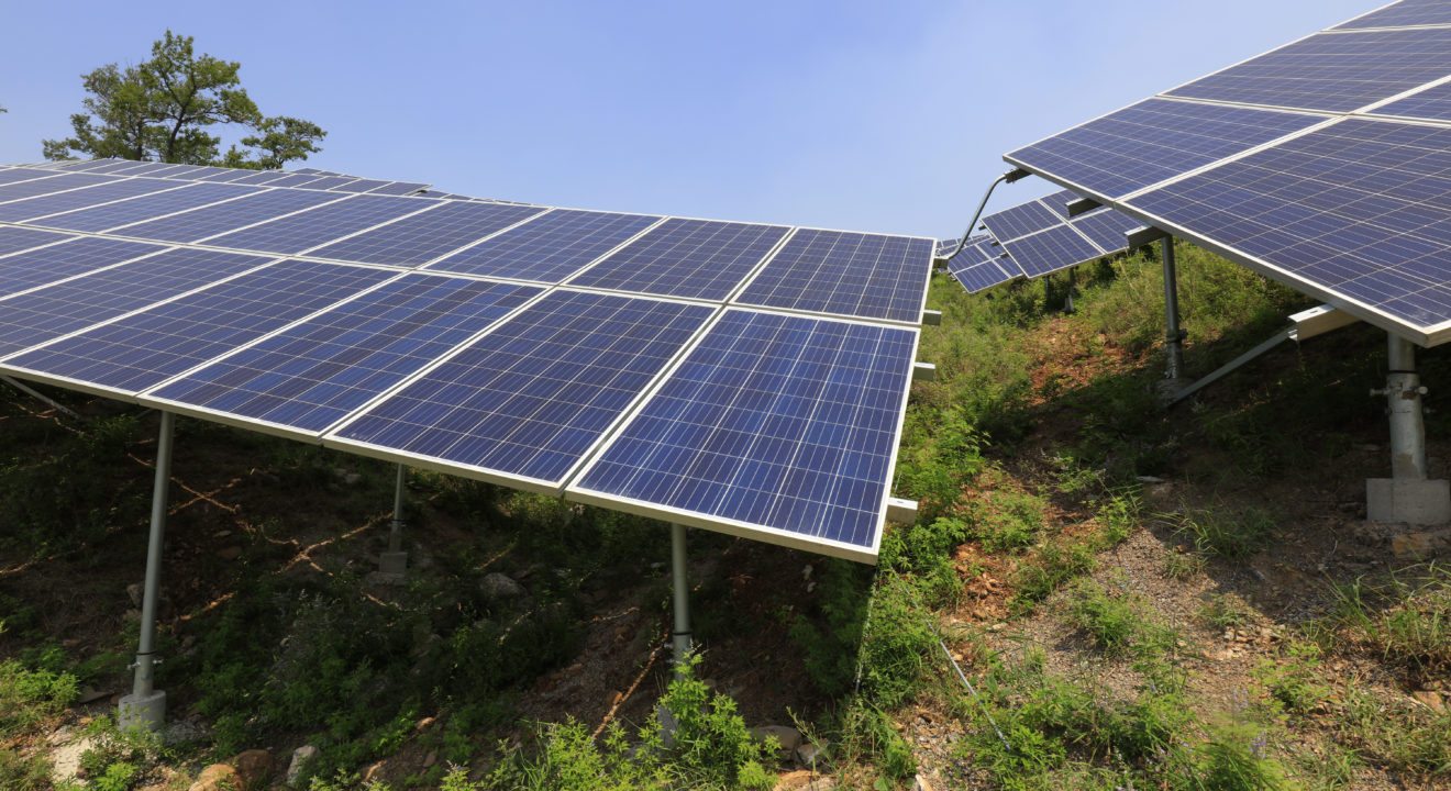 Entity asks if solar panels worth it
