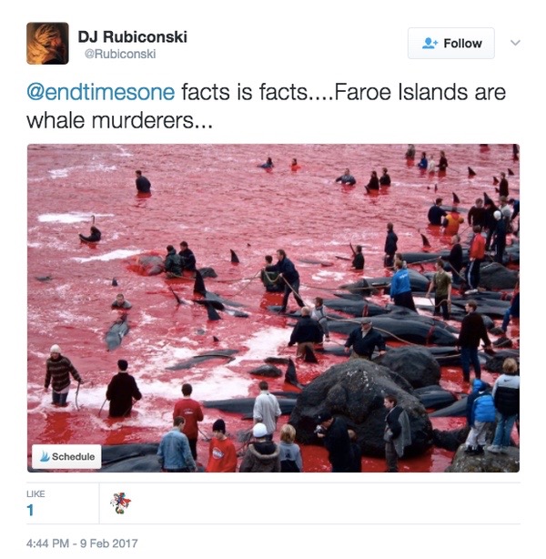 Entity reports on whale hunting at the Faroe Islands and why The Grind tradition doesn't help whales or the Faroese.