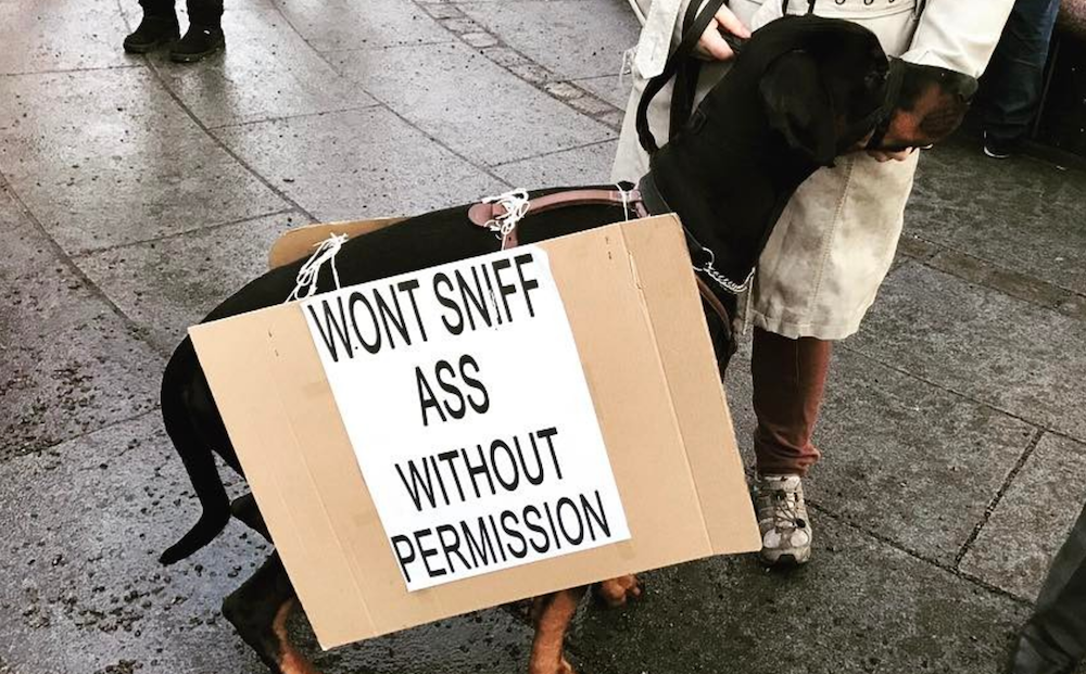 Entity Mags list of 7 awesome dogs who made these protests infinitely better.