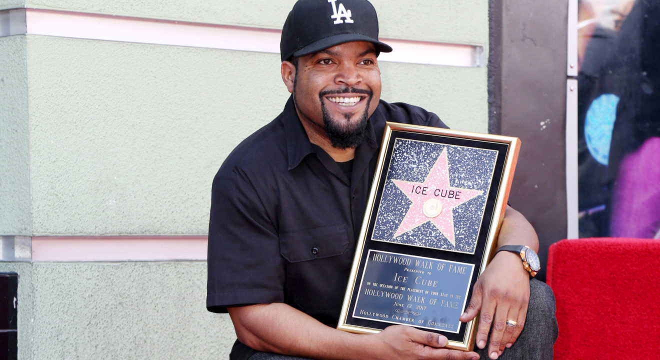 Ice Cube's Net Worth Is Made out of Cold, Hard Cash