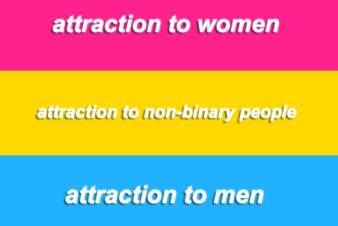 Meaning pansexual