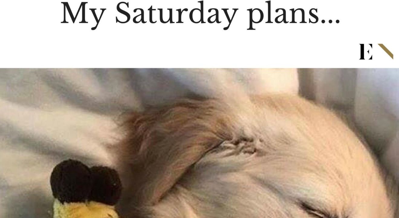 14 Funny Memes That Will Leave You On The Floor Laughing