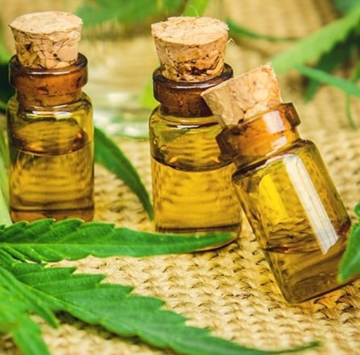 These are the Best CBD Oils on the Market Right Now