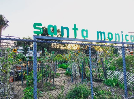 ENTITY shares the best community gardens in Los Angeles