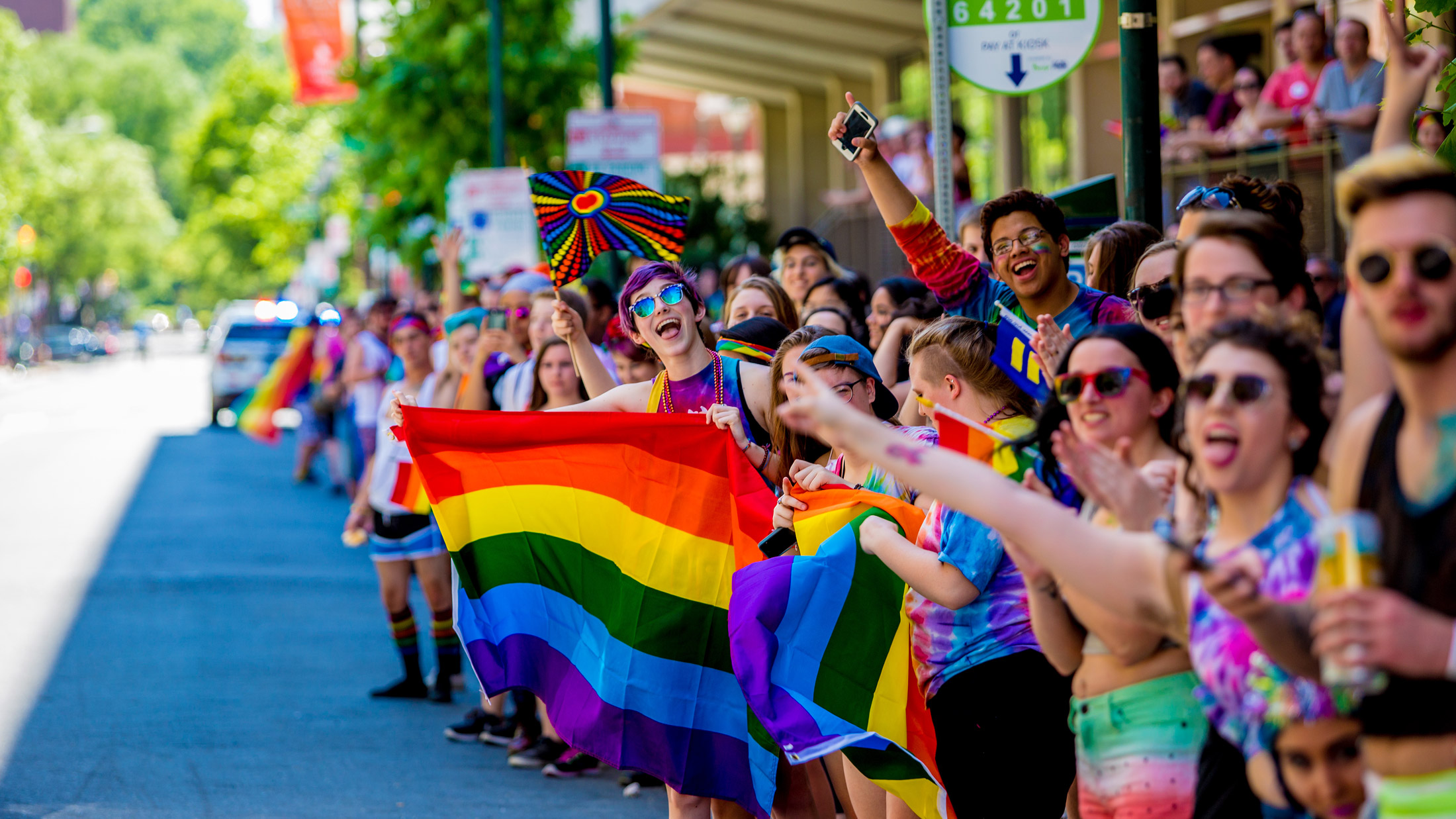 Sexuality Political Life