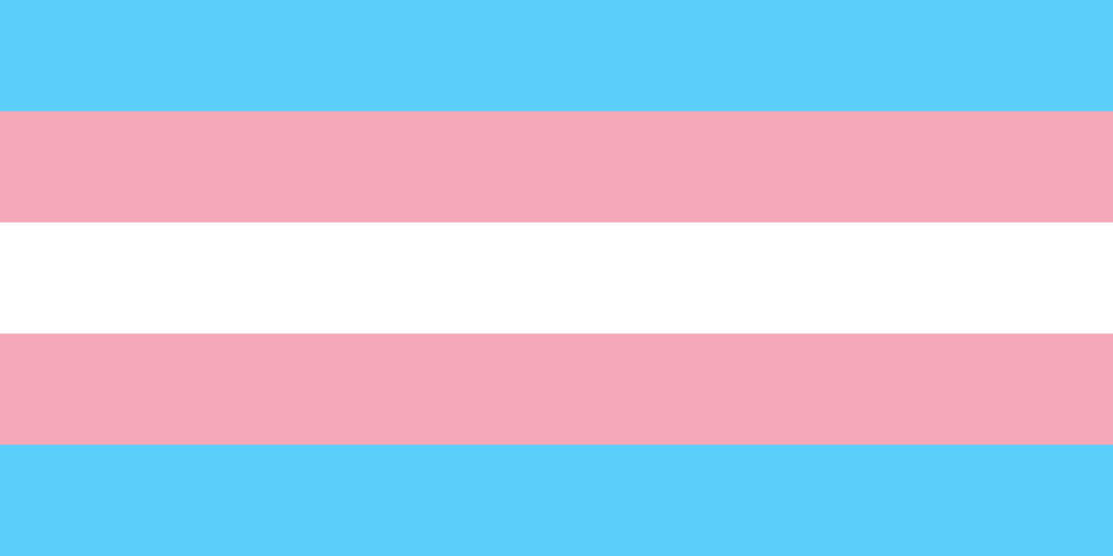 ENTITY Mag - Anthony Canapi - Transgender Flag

