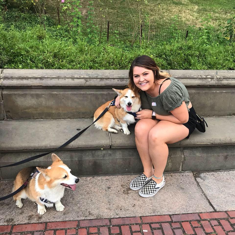 Here is a cute corgi picture from Central Park as shared by ENTITY.