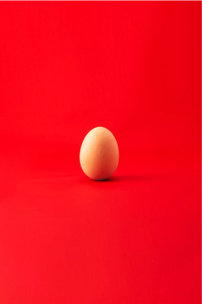 An egg that represents contemporary poetry.