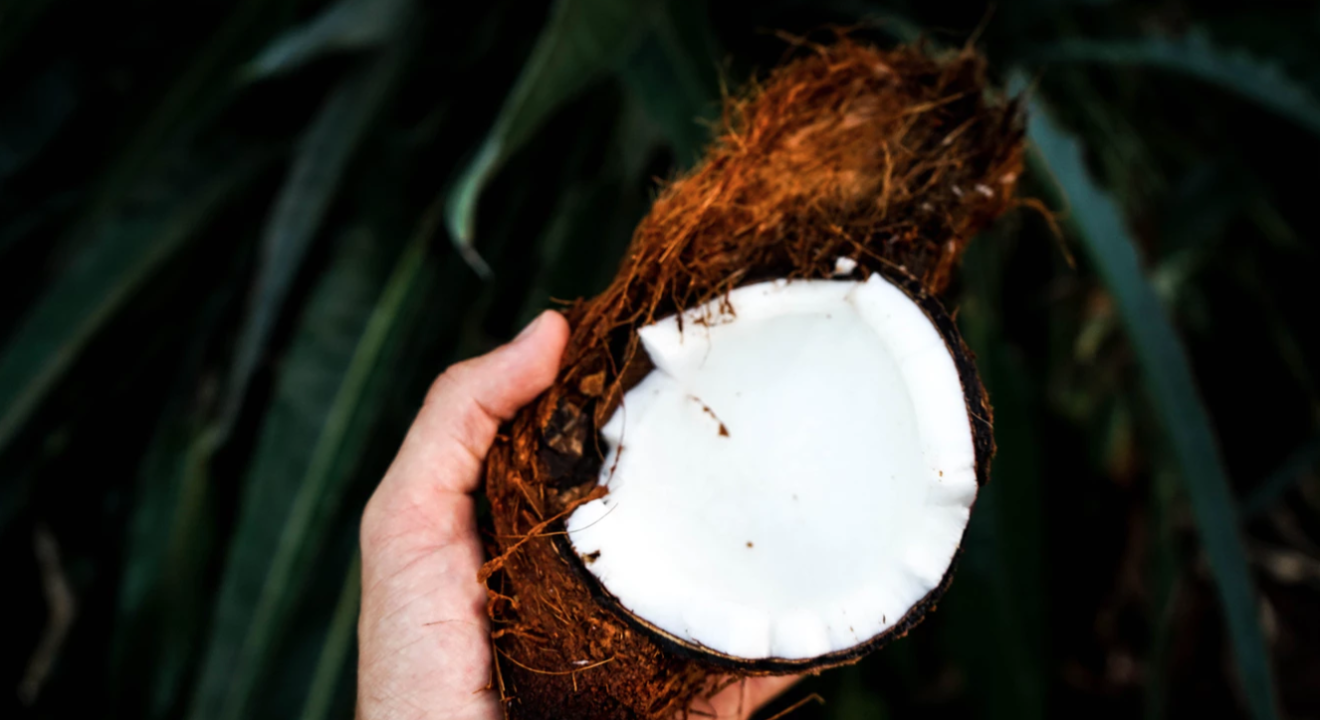 ENTITY shares image of coconut via Unsplash
