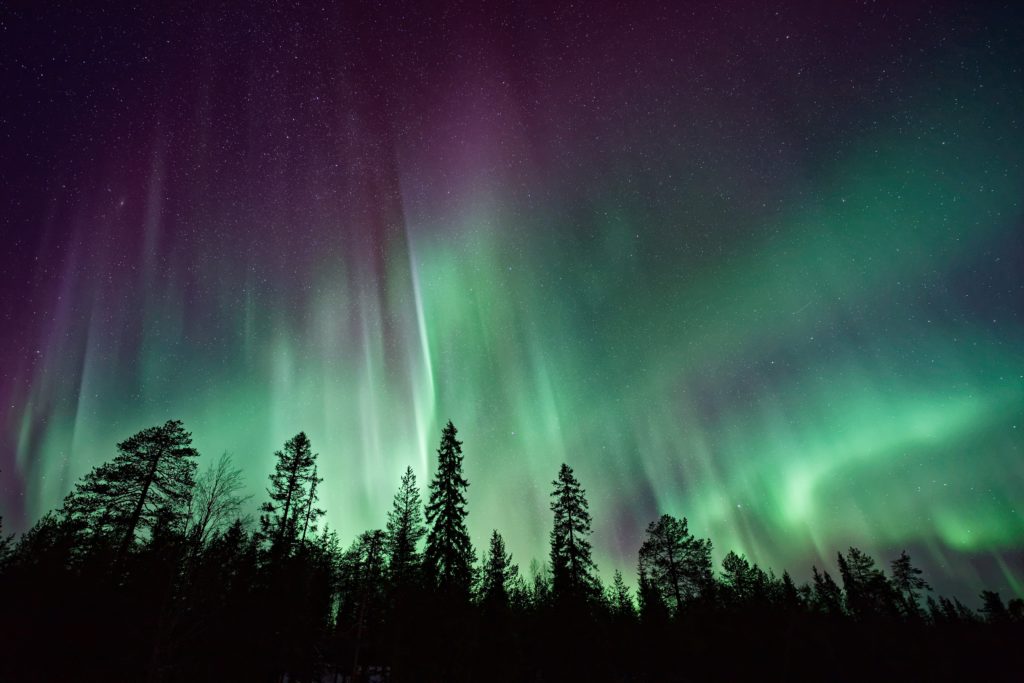 Entity shows photo of northern lights dream vacation via unsplash