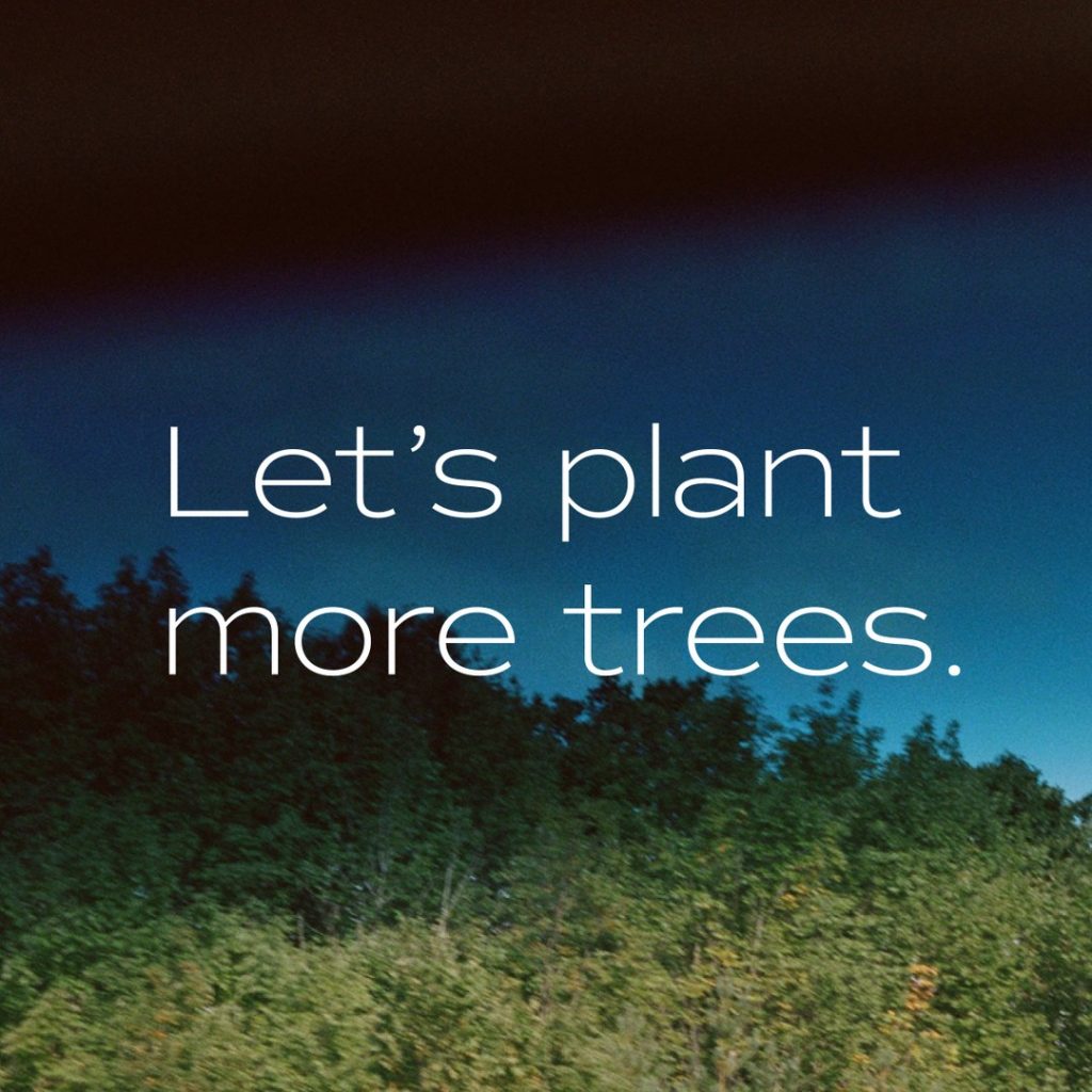 Making fashion more carbon-neutral by planting more trees.