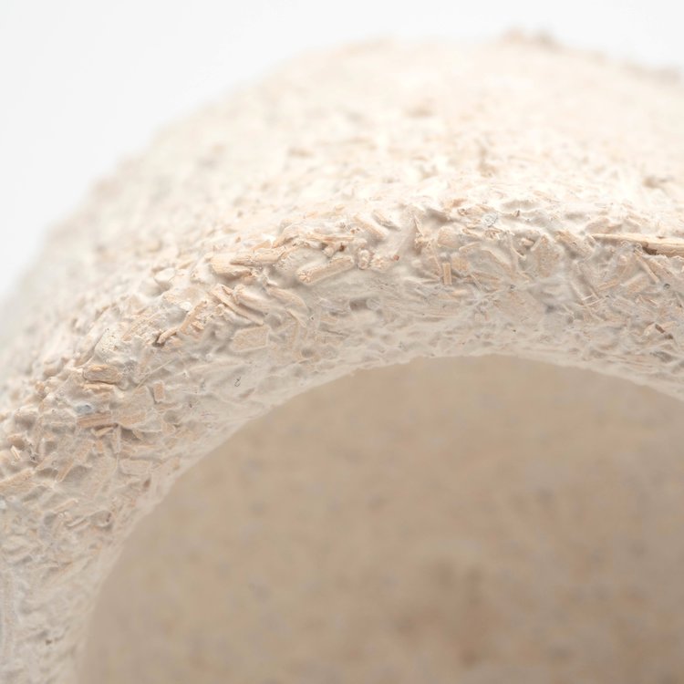 What is Mycelium? Eben Bayer talks about how mushrooms can be used to create sustainable alternatives to plastics, leather, styrofoam, and more.