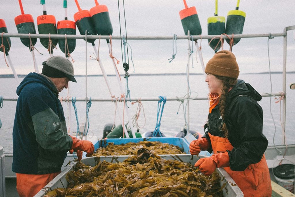 ENTITY Mag shares a photo of kelp farmers.