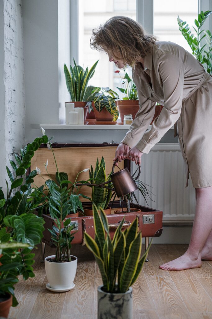Barefoot woman watering her plants that sit on the flow and windowsill.